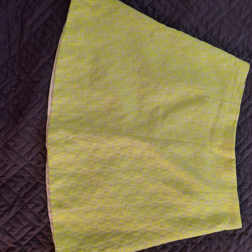 J Crew skater skirt